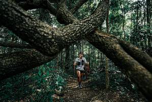 BIB: 
                            <button type="button" onclick="openModal(25663883)" class="btn btn-primary btn-sm float-right btn-popup" data-toggle="modal" data-target=".modal-high-quality">
                        <i class="fas fa-shopping-cart"></i> Add to Cart
                    </button>
                                            <button type="button" onclick="isThisMe(25663883, true)" class="btn btn-success btn-sm float-right btn-popup btn-isme hidden" data-toggle="tooltip" data-placement="bottom" title="นี่คือรูปของคุณใช่ไหม คลิกที่นี่เพื่อเอาเข้าอัลบั้ม">
                        <i class="fas fa-plus"></i> Add to album
                    </button>
                    <button type="button" onclick="isThisMe(25663883, false)" class="btn btn-warning btn-sm float-right btn-popup btn-isnotme hidden">
                        <i class="fas fa-ban"></i> Remove from album
                    </button>